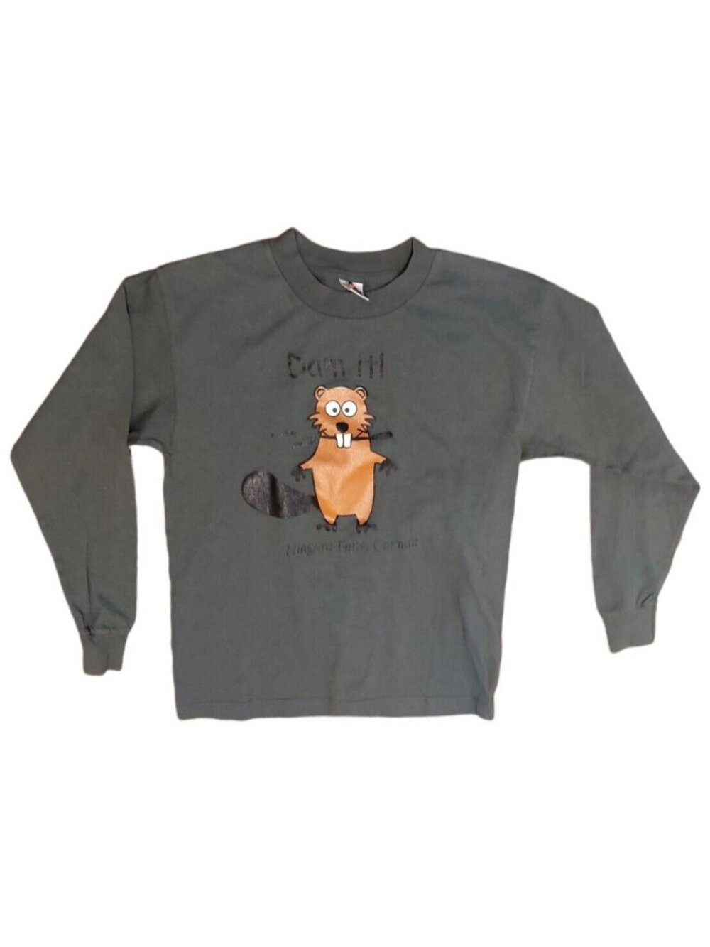 Niagara Falls Long Sleeve Tee Cartoon Beaver "Dam It" Olive green Youth XL